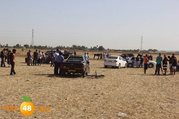 horse race 0602 (66).JPG